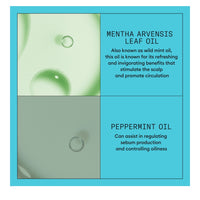 Nioxin System 3 Scalp + Hair Conditioner 300ml