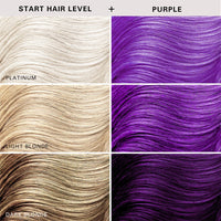Color + Clenditioner Purple 355ml