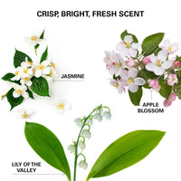 Insta Wow Advanced Dry Shampoo 171ml