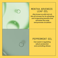 Nioxin System 1 Scalp + Hair Shampoo 300ml