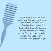 Curl Brush Sky & Sleep Bonnet Black Bestie Bundle