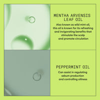 Nioxin System 2 SCalp + Hair Shampoo 300ml