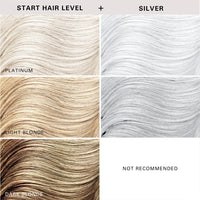 Color + Clenditioner Silver 355ml