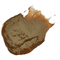 Evo Fabuloso Caramel 220ml