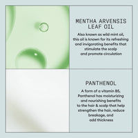 Nioxin Density Defend Strong Hold Hairspray 300ml