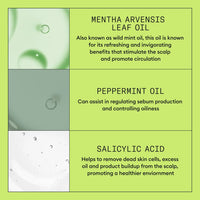 Nioxin System 2 Scalp + Hair Shampoo 1L