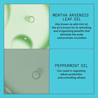 Nioxin System 3 Scalp + Hair Conditioner 1L
